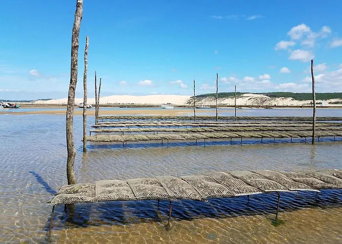 Apartman T2 Avec Balcon, Parking Inclus, Proche Et Commerces - Fr-1-474-291